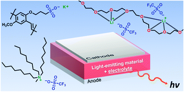 Graphical abstract: Illuminating the electrolyte in light-emitting electrochemical cells