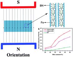 Graphical abstract: Influence of magnetic alignment and layered structure of BN&Fe/EP on thermal conducting performance