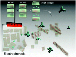 Graphical abstract: Electrophoretic deposition of Ca2Nb3O10− nanosheets synthesized by soft-chemical exfoliation