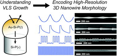 Graphical abstract: Understanding the vapor–liquid–solid mechanism of Si nanowire growth and doping to synthetically encode precise nanoscale morphology