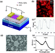 Graphical abstract: Low operating voltage ambipolar graphene oxide-floating-gate memory devices based on quantum dots