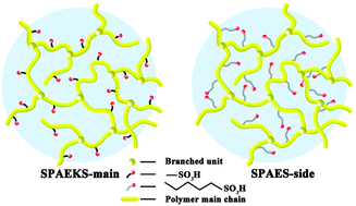 Graphical abstract: Synthesis and properties of highly branched sulfonated poly(arylene ether)s with flexible alkylsulfonated side chains as proton exchange membranes