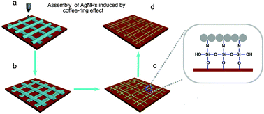 Graphical abstract: Interfacial adhesion enhancement of ink-jet printed transparent metallic grid electrodes induced by the coffee-ring effect