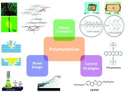 Graphical abstract: Polymorphism as an emerging design strategy for high performance organic electronics