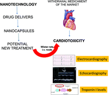 Graphical abstract: Evaluation of potential acute cardiotoxicity of biodegradable nanocapsules in rats by intravenous administration