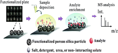 Graphical abstract: Rapid fabrication of functionalized plates for peptides, glycopeptides and protein purification and mass spectrometry analysis