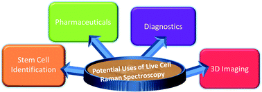 Graphical abstract: Raman spectroscopy: an evolving technique for live cell studies