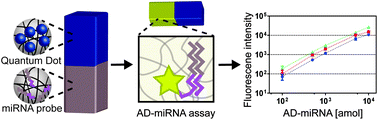 Graphical abstract: Vertically encoded tetragonal hydrogel microparticles for multiplexed detection of miRNAs associated with Alzheimer's disease