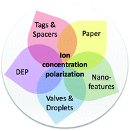 Graphical abstract: Recent advancements in ion concentration polarization