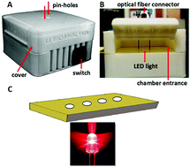 Graphical abstract: A fully battery-powered inexpensive spectrophotometric system for high-sensitivity point-of-care analysis on a microfluidic chip