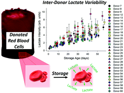 Graphical abstract: Raman spectroscopy as a novel tool for monitoring biochemical changes and inter-donor variability in stored red blood cell units