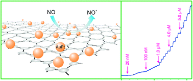 Graphical abstract: Sensitive electrochemical detection of nitric oxide based on AuPt and reduced graphene oxide nanocomposites