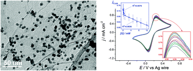 Graphical abstract: Reduced graphene oxide-nickel nanoparticles/biopolymer composite films for the sub-millimolar detection of glucose