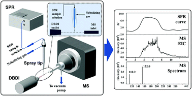 Graphical abstract: A dielectric barrier discharge ionization based interface for online coupling surface plasmon resonance with mass spectrometry