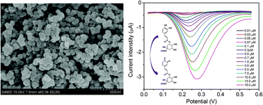 Graphical abstract: Highly stable and ultrasensitive chlorogenic acid sensor based on metal–organic frameworks/titanium dioxide nanocomposites
