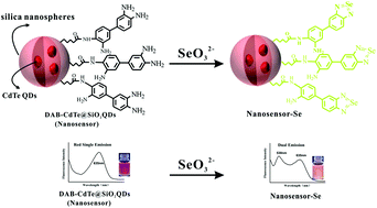 Graphical abstract: A ratiometric fluorescence nanosensor for highly selective and sensitive detection of selenite
