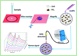 Graphical abstract: A gas-diffusion microfluidic paper-based analytical device (μPAD) coupled with portable surface-enhanced Raman scattering (SERS): facile determination of sulphite in wines