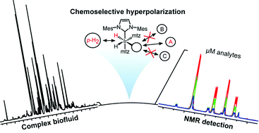 Graphical abstract: NMR detection in biofluid extracts at sub-μM concentrations via para-H2 induced hyperpolarization