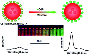 Graphical abstract: Fabrication of an “ion-imprinting” dual-emission quantum dot nanohybrid for selective fluorescence turn-on and ratiometric detection of cadmium ions