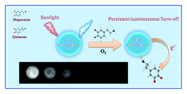 Graphical abstract: A persistent luminescence microsphere-based probe for convenient imaging analysis of dopamine