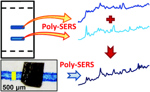 Graphical abstract: Investigation of the chemical origin and evidential value of differences in the SERS spectra of blue gel inks