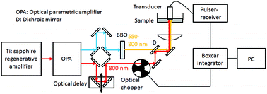 Graphical abstract: Stimulated Raman photoacoustic spectroscopy for chemical-contrast imaging of a sample deeply buried in scattering media