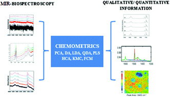 Graphical abstract: MIR-biospectroscopy coupled with chemometrics in cancer studies