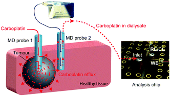 Graphical abstract: Real-time detection of carboplatin using a microfluidic system