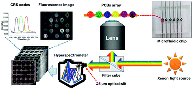 Graphical abstract: Hyperspectral imaging analysis of a photonic crystal bead array for multiplex bioassays