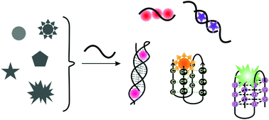 Graphical abstract: Label-free DNA-based biosensors using structure-selective light-up dyes