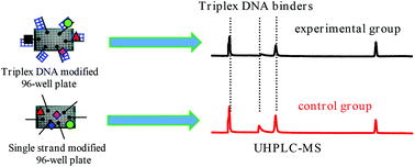 Graphical abstract: High-throughput screening of triplex DNA binders from complicated samples by 96-well pate format in conjunction with peak area-fading UHPLC-Orbitrap MS