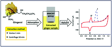 Graphical abstract: Electrochemical detection and quantification of gingerol species in ginger (Zingiber officinale) using multiwalled carbon nanotube modified electrodes