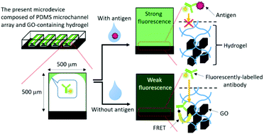 Graphical abstract: Development of a single-step immunoassay microdevice based on a graphene oxide-containing hydrogel possessing fluorescence quenching and size separation functions