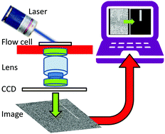 Graphical abstract: A computational streak mode cytometry biosensor for rare cell analysis