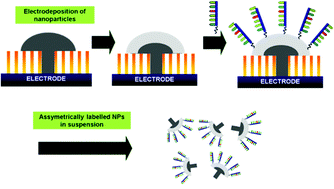 Graphical abstract: Hemispherical platinum : silver core : shell nanoparticles for miRNA detection