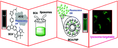 Graphical abstract: Assembly of BODIPY-carbazole dyes with liposomes to fabricate fluorescent nanoparticles for lysosomal bioimaging in living cells