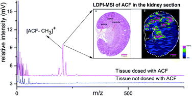 Graphical abstract: Molecular imaging of small molecule drugs in animal tissues using laser desorption postionization mass spectrometry
