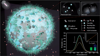 Graphical abstract: Encapsulating quantum dots with amino functionalized mesoporous hollow silica microspheres for the sensitive analysis of formaldehyde in seafood