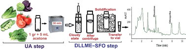 Graphical abstract: Simultaneous separation and preconcentration of phosalone and chlorpyrifos in fresh vegetables using ultrasound-assisted dispersive liquid–liquid microextraction and high performance liquid chromatography