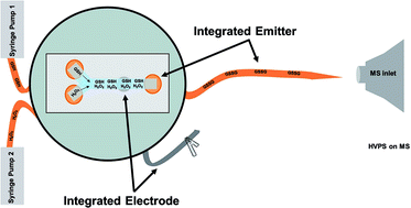 Graphical abstract: Integrated electrodes and electrospray emitter for polymer microfluidic nanospray–MS interface