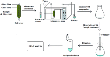 Graphical abstract: Dispersant-assisted dynamic microwave extraction of triazine herbicides from rice