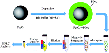 Graphical abstract: Determination of bisphenols in environmental water samples using polydopamine-coated magnetic Fe3O4 as a magnetic solid-phase extraction material coupled with high-performance liquid chromatography