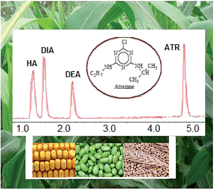 Graphical abstract: Analysis of herbicide atrazine and its degradation products in cereals by ultra-performance liquid chromatography-mass spectrometry