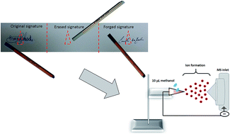 Graphical abstract: Detection of signature forgery with erasable pens using paper spray mass spectrometry (PS-MS)