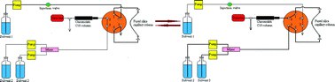 Graphical abstract: Sensitive analysis of phthalate esters in plastic bottled water via on-line capillary solid-phase microextraction liquid chromatography electrospray ionization-ion trap mass spectrometry