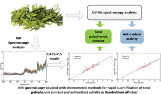 Graphical abstract: The rapid determination of total polyphenols content and antioxidant activity in Dendrobium officinale using near-infrared spectroscopy