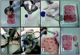 Graphical abstract: A new sample collection method for the assessment of the percentage of water absorbed in frozen and quick-frozen poultry cuts (chicken breasts with skin)