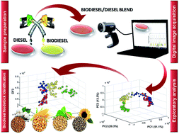 Graphical abstract: Identification of biodiesel feedstock in biodiesel/diesel blends using digital images and chemometric methods
