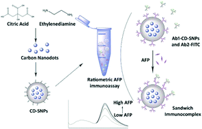 Graphical abstract: A novel ratiometric fluorescent immunoassay for human α-fetoprotein based on carbon nanodot-doped silica nanoparticles and FITC