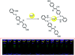 Graphical abstract: A highly efficient aggregation-induced emission fluorescent sensor for copper(ii) in aqueous media